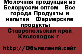 Молочная продукция из Белоруссии оптом - Все города Продукты и напитки » Фермерские продукты   . Ставропольский край,Кисловодск г.